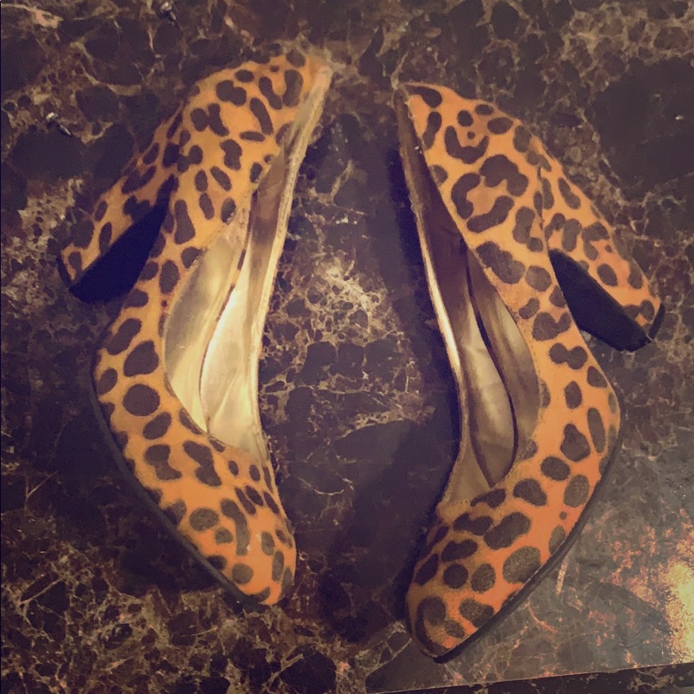 Leopard Bongo shoes